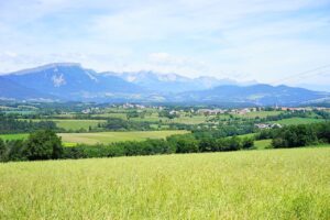 Préparer son Terrain pour l'Hiver : 6 Gestes Essentiels